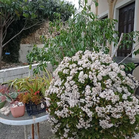 Апартаменти Palm Tree Chania Crete *