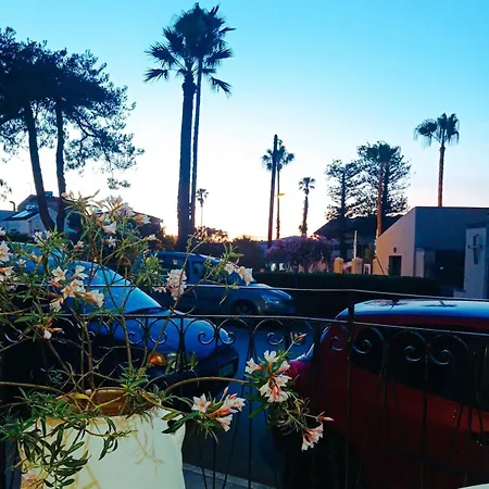 Palm Tree Chania Crete Апартаменти Ханья (Крит)