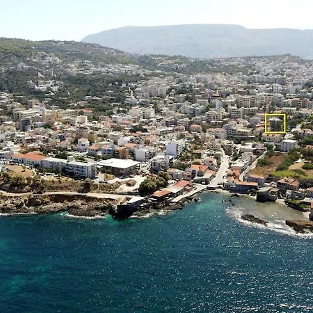 Palm Tree Chania Crete Ханья (Крит)