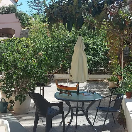 Palm Tree Chania Crete