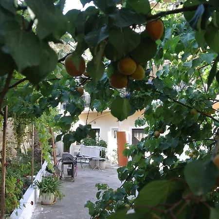 Palm Tree Chania Crete Апартаменти Ханья (Крит)